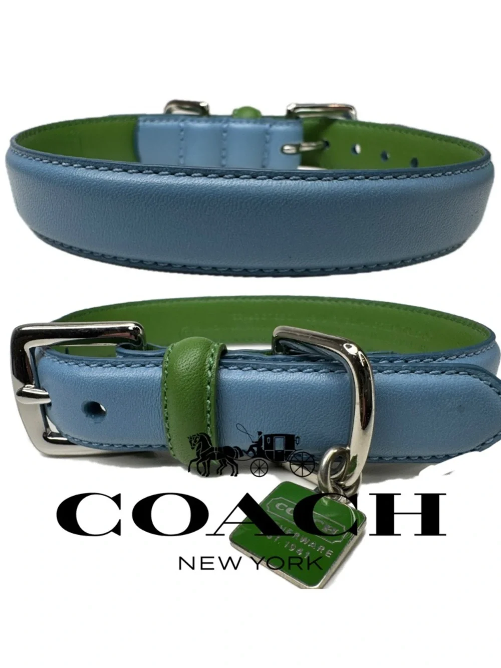 Coach Green Blue  Leather Vintage Y2 K ID Tag Size S Small 11-13” Dog Collar